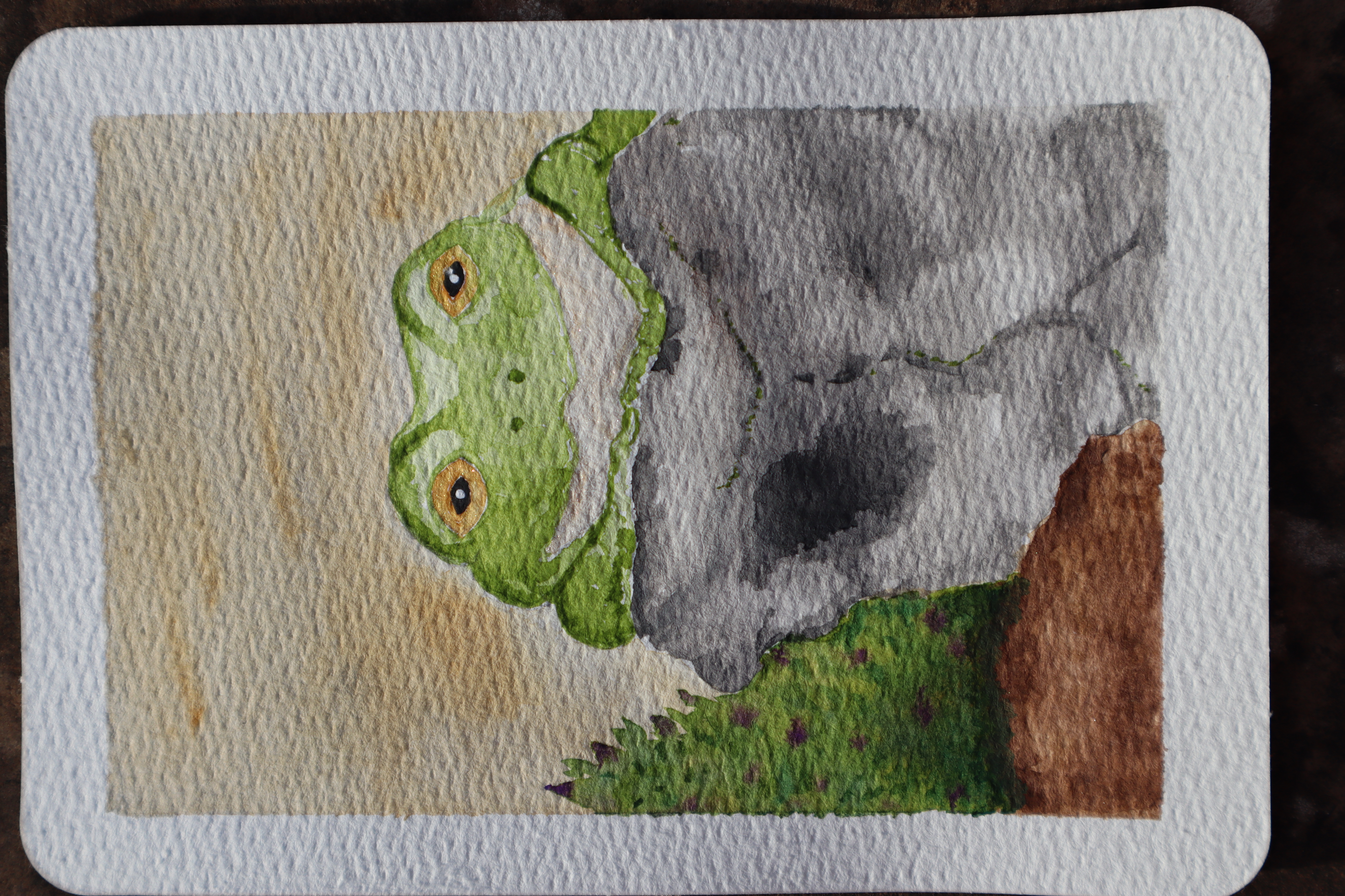 Frog painting