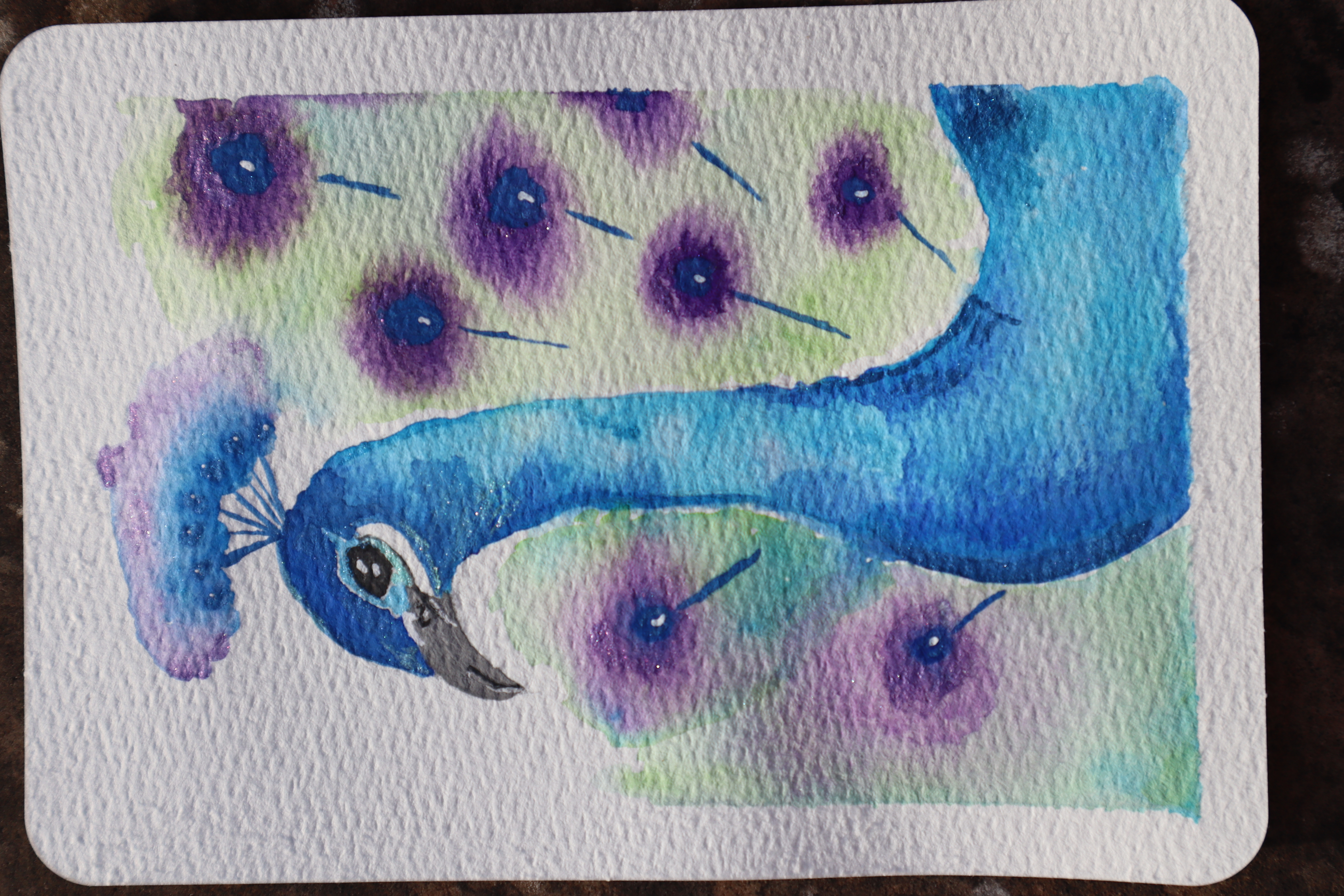 Peacock painting